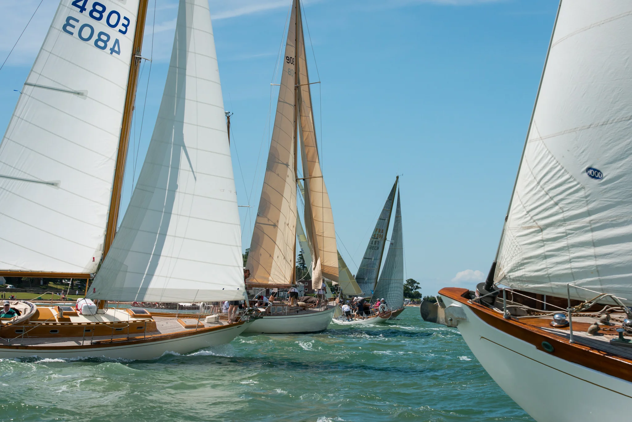Panerai classic regatta 2019 outlet